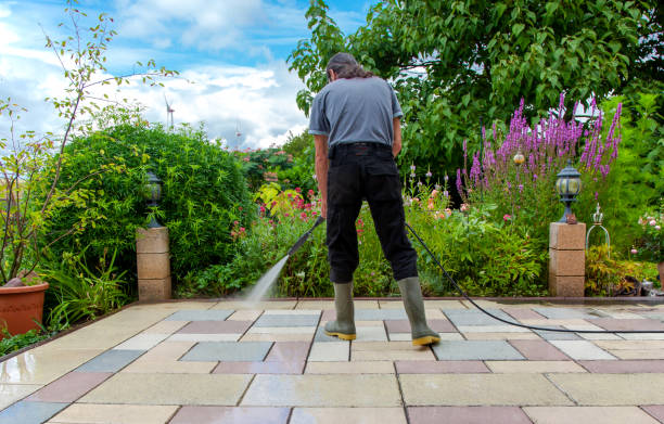 Best Winterizing Services  in Two Harbors, MN