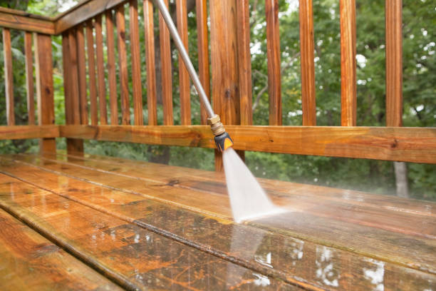 Best Sidewalk and Walkway Cleaning  in Two Harbors, MN